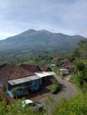 Merbabu mountain background from central java