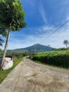 Merbabu mountain looks beautiful nature