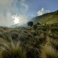 Merbabu mountain