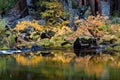 Merced River in Autumn Royalty Free Stock Photo