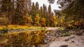 Merced River Yosemite NP Royalty Free Stock Photo