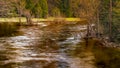 Merced River Yosemite NP Royalty Free Stock Photo