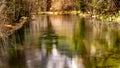 Merced River Yosemite NP Royalty Free Stock Photo