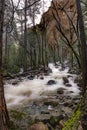 Merced River Yosemite NP Royalty Free Stock Photo