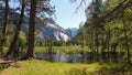 Merced river, Yosemite Valley, Califonia Royalty Free Stock Photo