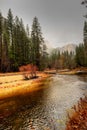 Merced River Yosemite Valley Royalty Free Stock Photo