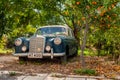 Mercedes-Benz W180 Old timer underneath Orange Tree in Larnaca Cyprus