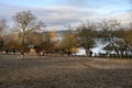 MERCER ISLAND, WA, USA Ã¢â¬â JANUARY 17, 2022: Luther Burbank Park, dog park off leash area with water access to Lake Washington Royalty Free Stock Photo