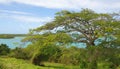 Mercers Creek bay Atlantic Ocean coast - Caribbean tropical sea - Antigua and Barbuda Royalty Free Stock Photo