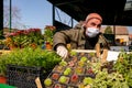 Merchandiser in medical mask and gloves is selling potted flowers