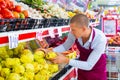 Supermarket worker putting quinces on shelf