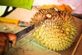 cutting durian