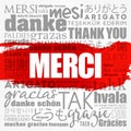 Merci Thank You in French word cloud