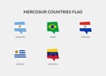 Mercosur Countries Chat flag icon set