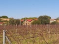 Mercouri wine estate