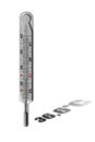 Mercurial thermometer