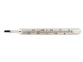 Mercury thermometer