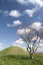 Mere Castle hill from Long Hill Royalty Free Stock Photo