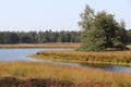 A Mere at the Somerse Heide