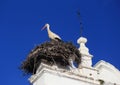 Merida, Extremadura, Spain. Stork nesting. Royalty Free Stock Photo