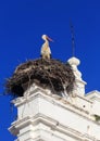 Merida, Extremadura, Spain. Stork nesting. Royalty Free Stock Photo