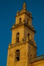 Merida San Ildefonso cathedral in the evening. Yucatan. Mexico Royalty Free Stock Photo