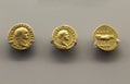 Three golden coins of Titus Emperor