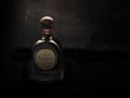 MERIDA-YUCATAN-MEXICO-NOVEMBER-2018: Tequila Don Julio, one of the most famous in Mexico