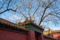 The Meridian Gate. Forbidden City. Beijing, China. Royalty Free Stock Photo