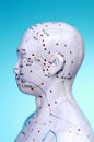 Meridian Head Acupuncture Points Royalty Free Stock Photo