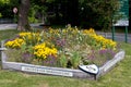 Meridian line flower bed in East Grinstead