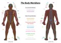 Meridian System Black Man Description Chart Male Body