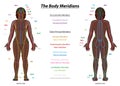 Meridian System Black Woman Description Chart Female Body