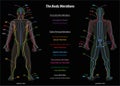 Meridian System Description Chart Black