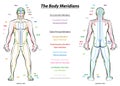 Meridian System Description Chart Male Body Royalty Free Stock Photo