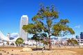 Meriken Park and Hotel Okura Kobe