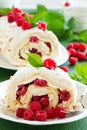 Meringue roulade with cream Royalty Free Stock Photo