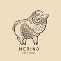 Merino sheep logo, label. Vector ram illustration. Ewe soft wool sign. Fleece icon background.