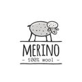 Merino sheep, sketch for your design