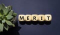 Merit symbol. Concept word Merit on wooden cubes. Beautiful deep blue background with succulent plant. Business and Merit concept Royalty Free Stock Photo