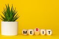 merit symbol . oncept word, merit on wooden cubes. Beautiful yellow background with succulents. Business concept and contributions