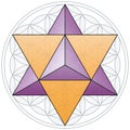 Merkaba And Flower of Life