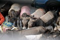 Donkeys,at Merkato Market, rumored to be the largest open-air market in Africa