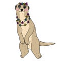 Cute Meerkat wear flower clown and necklace cartoon illustration