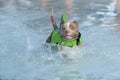 Merle colored pitbull in a swim vest in the water