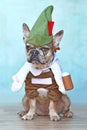 Merle French Bulldog dog dressed up with funny traditional Bavarian `Oktoberfest` costume with Lederhosen pants, tirol hat Royalty Free Stock Photo