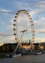 The merlin entertainments london eye Royalty Free Stock Photo