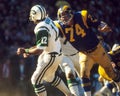 Merlin Olsen, Los Angeles Rams