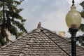 Merlin raptor perched atop gazebo roof