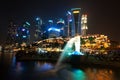 The Merlion park and citysccpae at night